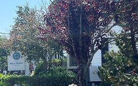 Ellery Hotel Provincetown